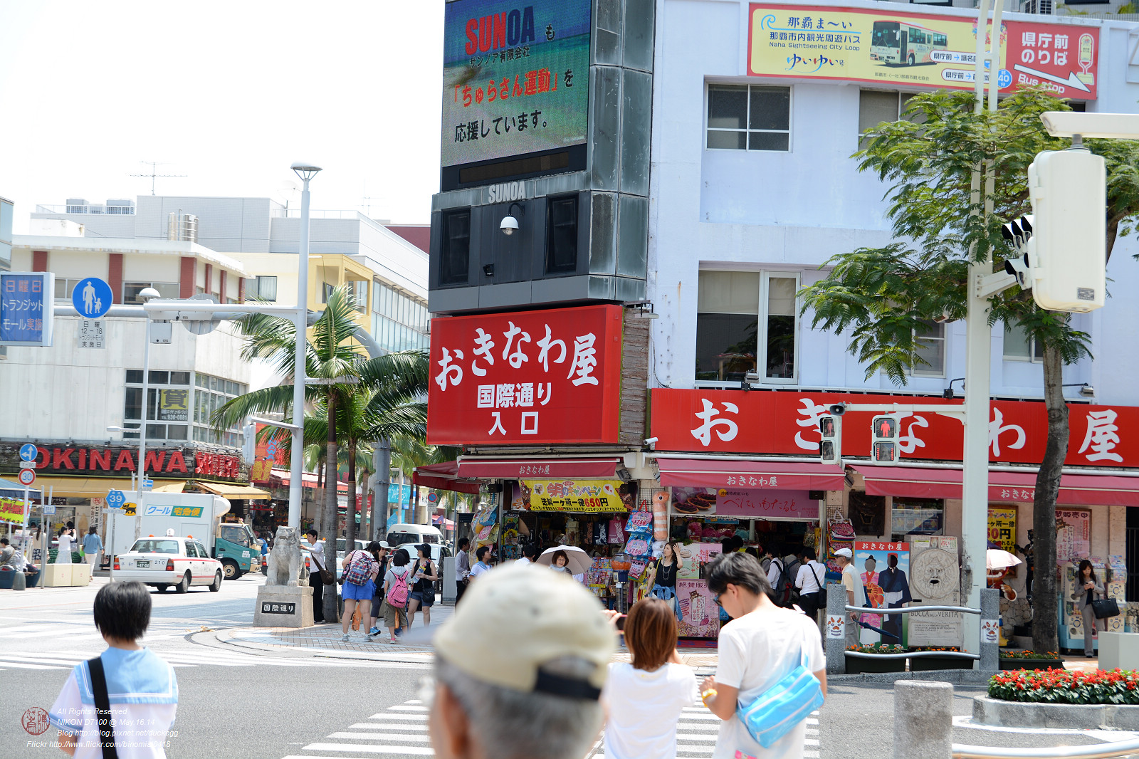 DSC_3495.jpg